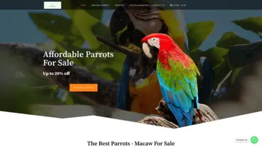 Screenshot of