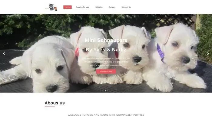 Screenshot of