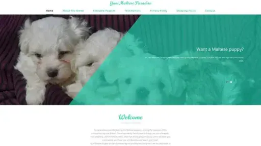 Screenshot of
