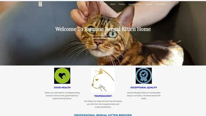 Screenshot of