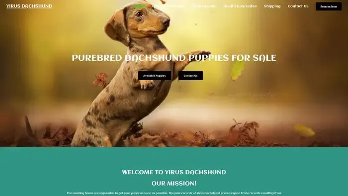 Screenshot of|