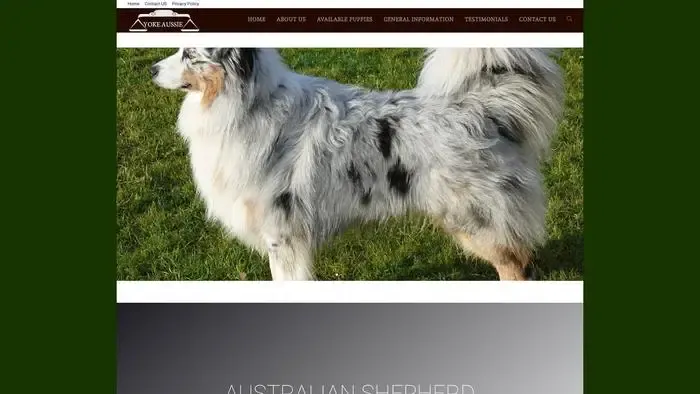 Screenshot of