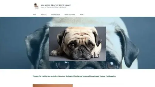 Screenshot of