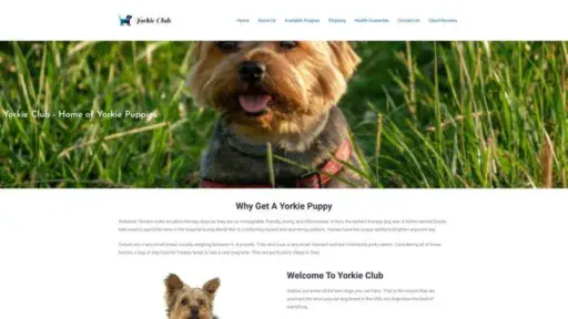 Screenshot of