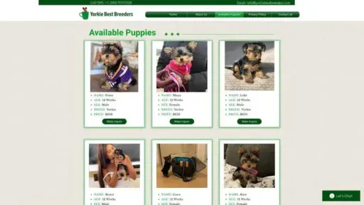 Screenshot of