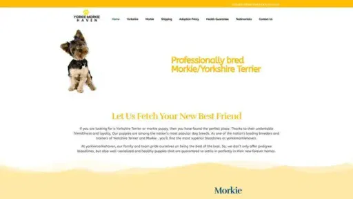 Screenshot of