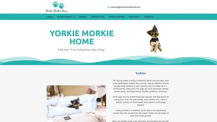 Screenshot of