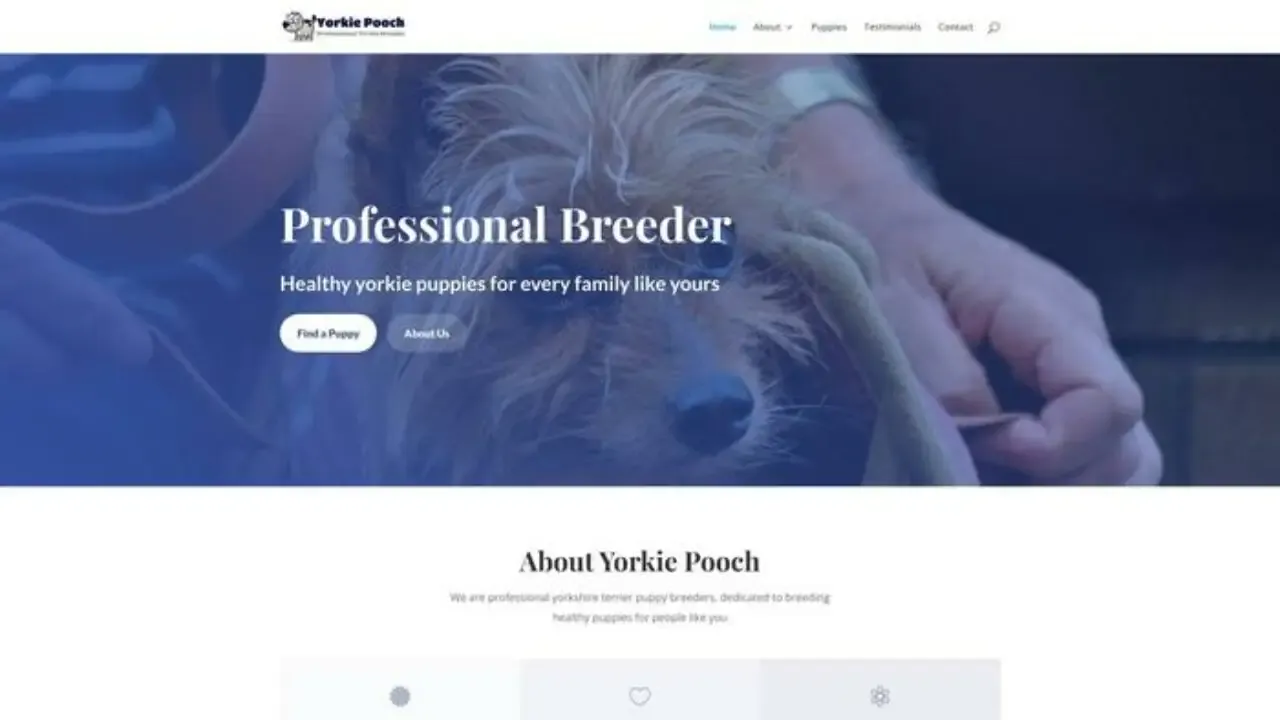 Yorkiepooch