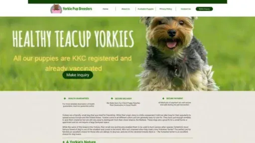 Screenshot of||