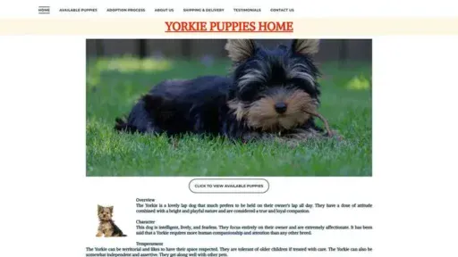Screenshot of