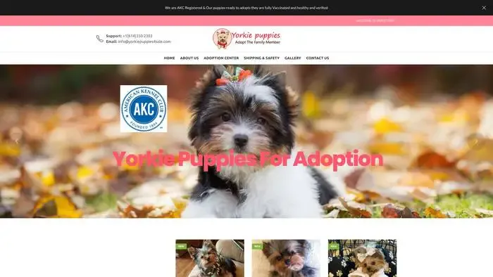 Screenshot of
