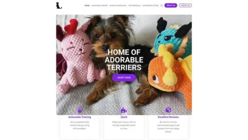 Screenshot of