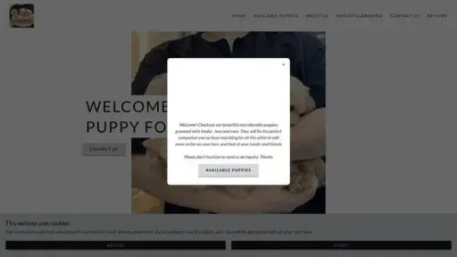 Screenshot of