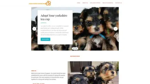 Screenshot of