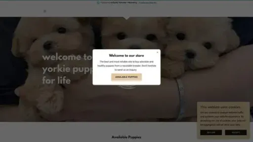 Screenshot of