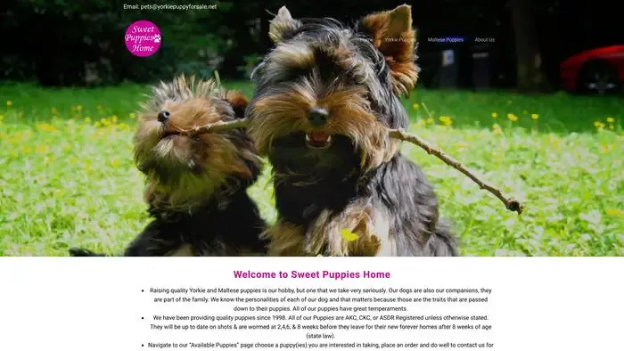 Screenshot of