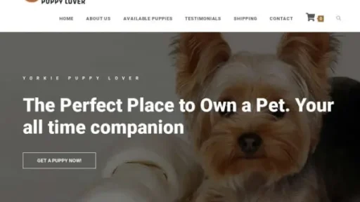 Screenshot of