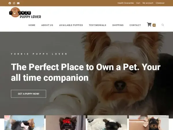 Screenshot of