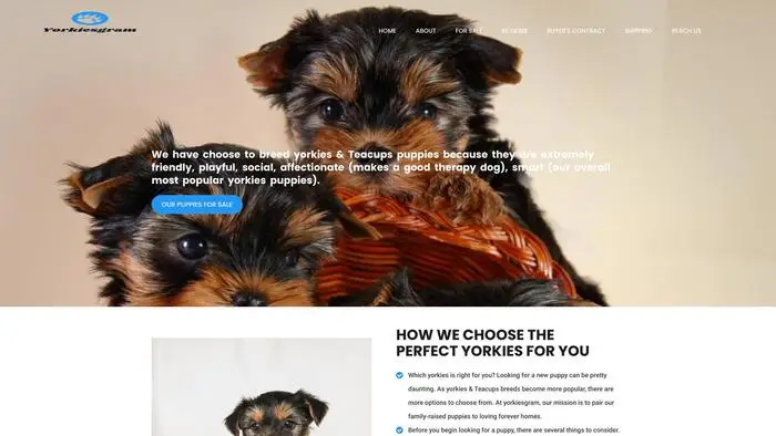 Screenshot of