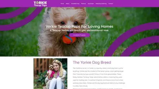Screenshot of
