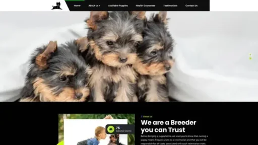 Screenshot of