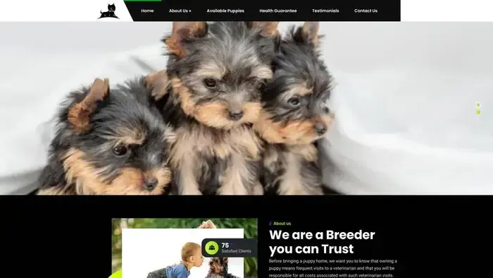 Screenshot of