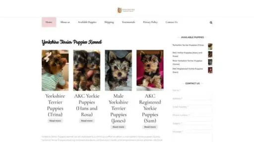 Screenshot of