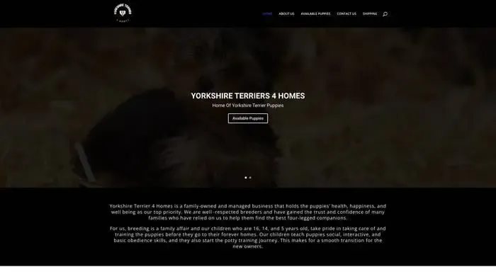 Screenshot of