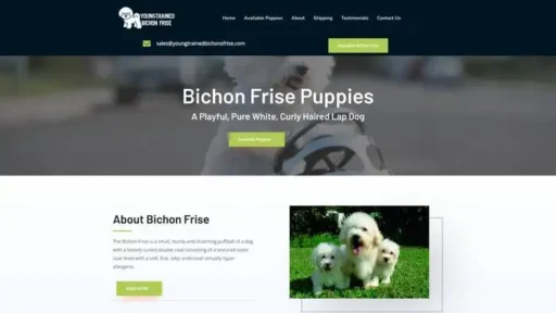 Screenshot of