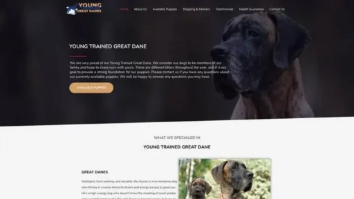 Screenshot of