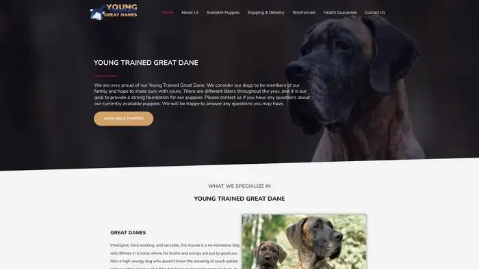 Screenshot of