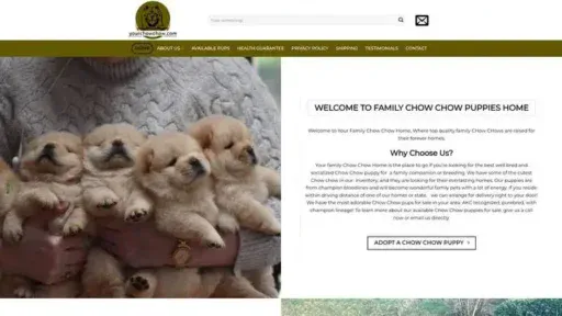 Screenshot of