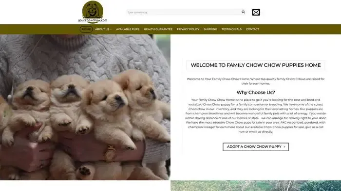 Screenshot of