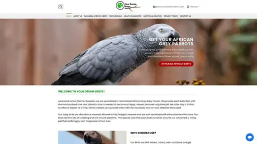 Screenshot of
