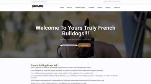Screenshot of