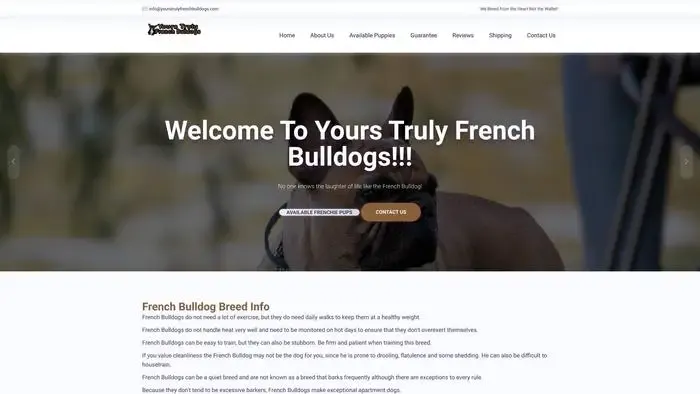 Screenshot of