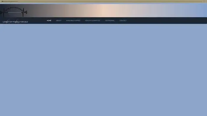 Screenshot of