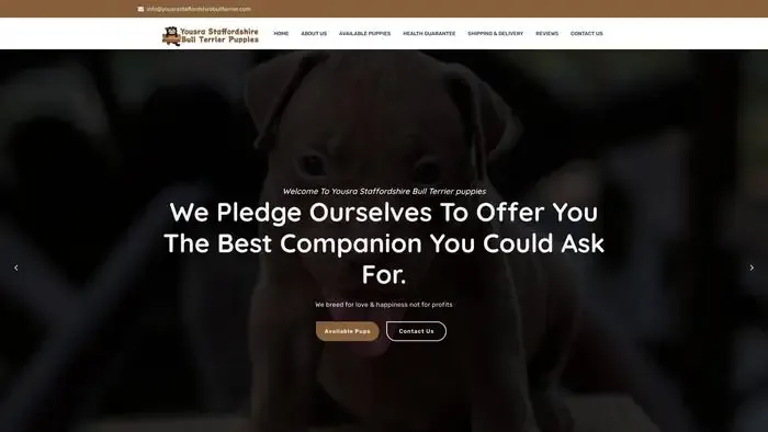 Screenshot of