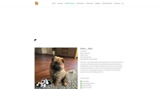 Screenshot of