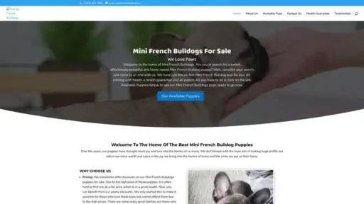 Screenshot of
