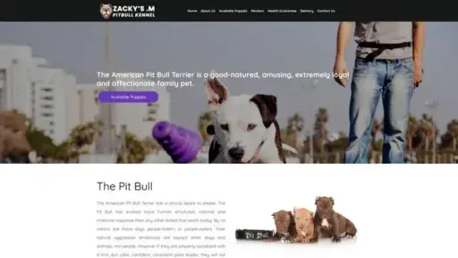 Screenshot of