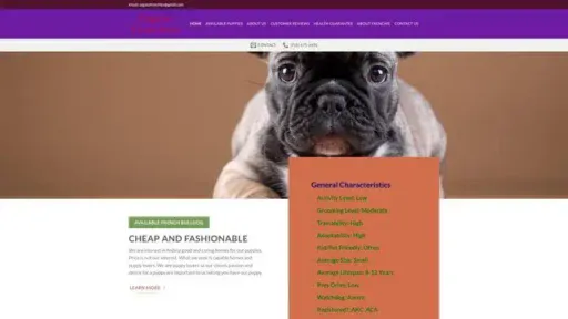 Screenshot of