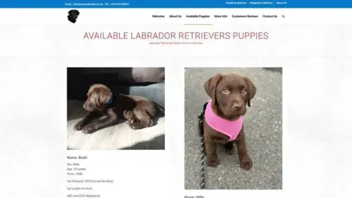Screenshot of