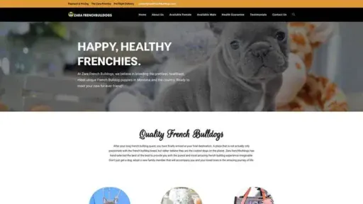 Screenshot of