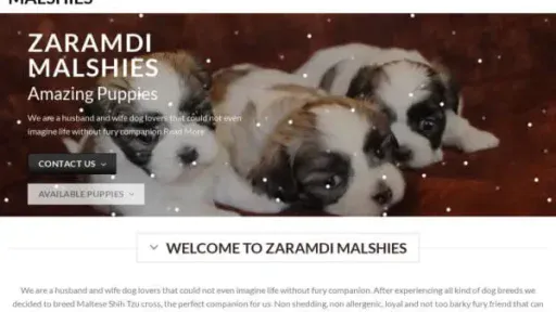 Screenshot of