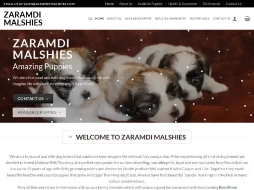 Screenshot of