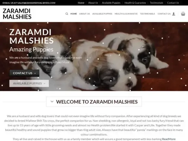 Screenshot of