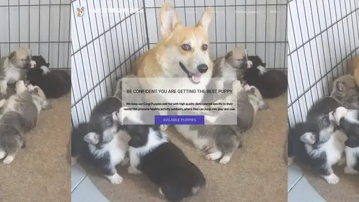 Screenshot of