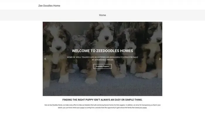 Screenshot of