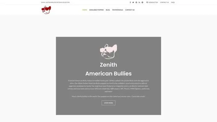 Screenshot of